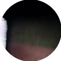 1747344249090.mp4