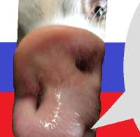 m9yxvfUfLfM0UTN.jpg