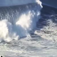 174773379542260678.mp4