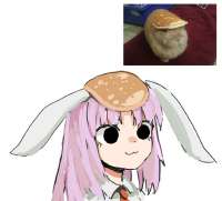 16637495855010.jpg