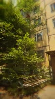 17479306826680.mp4