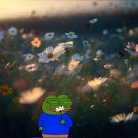 22-49-27-bd206e06fb87c1f37a6d7c5d781efa04.jpg