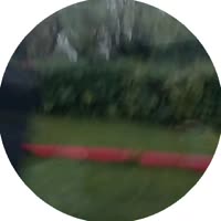1748547615620.mp4