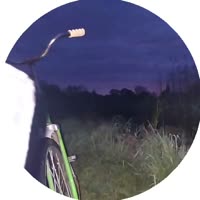 1748550300666.mp4