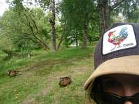 IMG20250601223326486.jpg