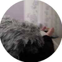 1749678370997.mp4