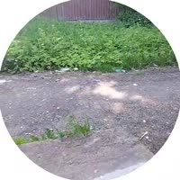 1749907702465.mp4