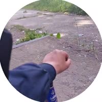 1749909005864.mp4