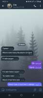 Screenshot20250619142115Telegram.jpg