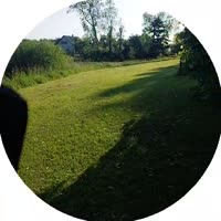 1750436016471.mp4