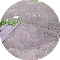 1750520826469.mp4