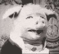1747885564429475.gif