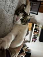 IMG3338.jpeg