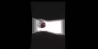 VID20250610185602983.mp4