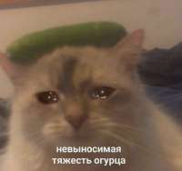 1749764934932.jpg