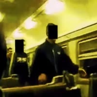 тусовка зайцев slowed.mp4