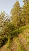 IMG20250605192742.jpg