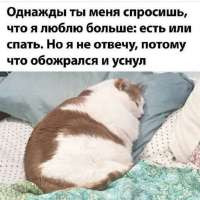 IMG20250430222839284.jpg