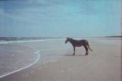 IMG1650.jpeg