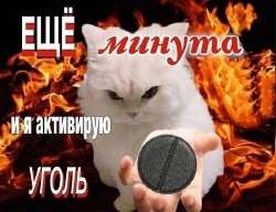 559vpOdc8YXU-QxxSXUBIEI2ftFQfP0PRUjoSMj5ngouEdDw8TetxmBTxHPn3c8Oo8gQ0BSoDiEyRhre5iOI8LI.jpg