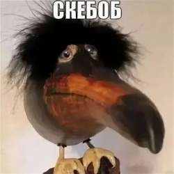 5104076536869a103bbab6718581e1dd.jpg