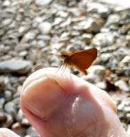 IMG20250608164517~2.jpg