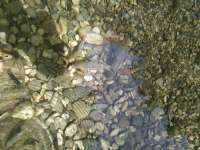IMG20250608163957.jpg