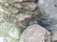 IMG20250608170706.jpg