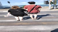 VID20250613160714.mp4