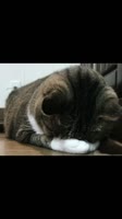 ihatemylife99912025-06-10-12-44-191749541459274.mp4