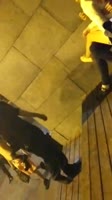 video2025-06-1522-49-22.mp4