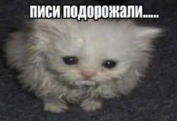 F2lh9q6lnEAwIwpZHa9Yy-IT3TA226kpHnavL1KM0OPFiO6YmiwBAZ0MpckSCFxc9eNSCdDMEHQqcDOcJXveg.jpg