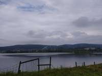 IMG20250617094643.jpg
