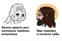 175019178074628150.jpg