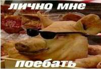 d410db853956d66372e6699647dbb971.jpg
