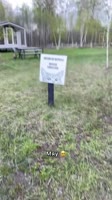 175034202091866246.mp4