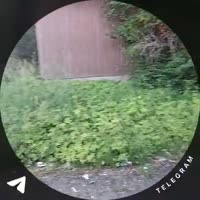 1752863125405.mp4