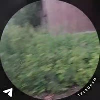 1752863707098.mp4