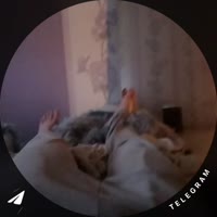 1753298278268.mp4