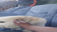20250725191615.mp4