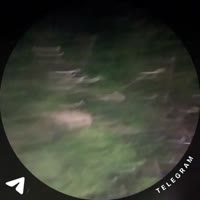 1753647885756.mp4