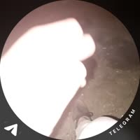 1753651506862.mp4