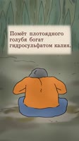 175135974176220183.mp4