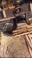 16975277479270.mp4