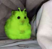 836ba16f08a9e5a82857f965e6af6d10.jpg