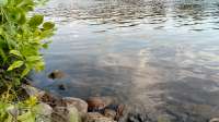 IMG20250709150452.jpg