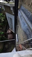 17510254045571.mp4