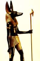 anubis-2585786-1280-cke.jpg