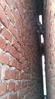 175232530326911540.mp4