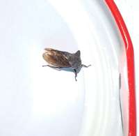 IMG20250713104237~2.jpg